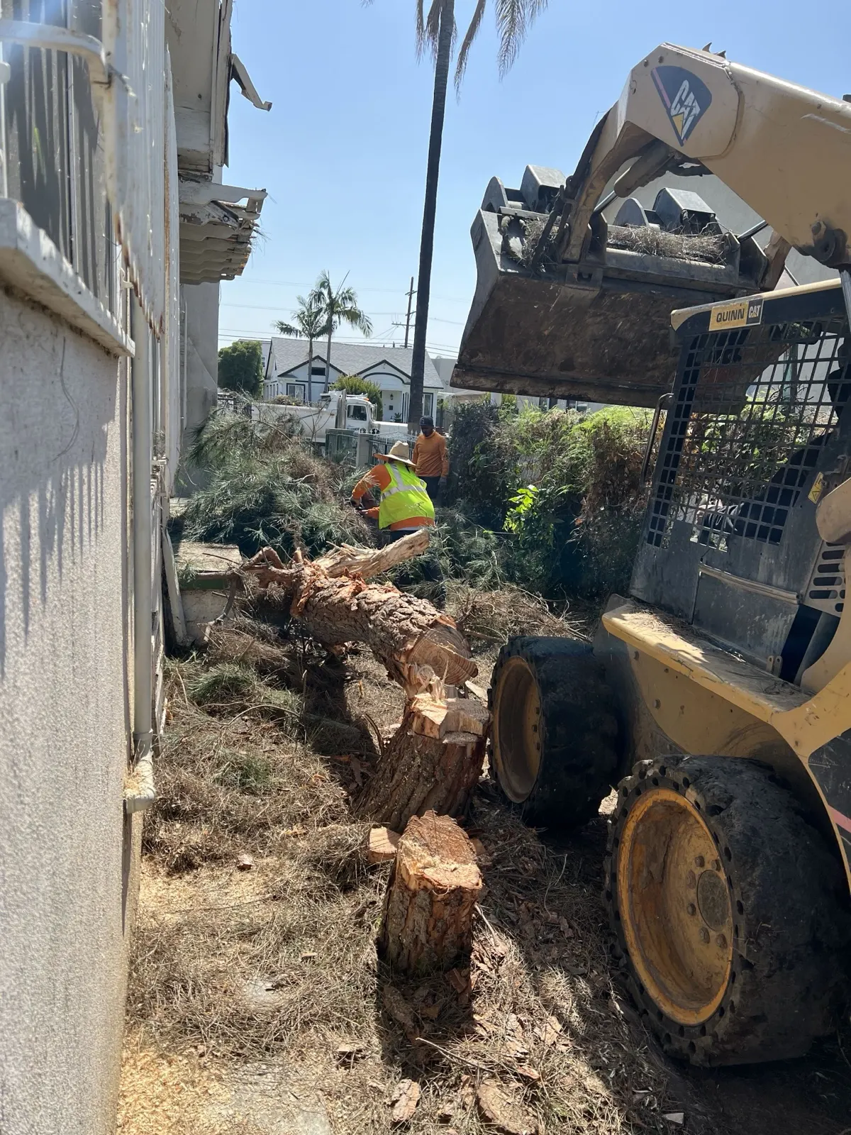 Skid steer moving cut tree sections and green waste beside a house